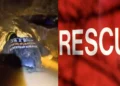 Laos cave rescue operation gold miners
